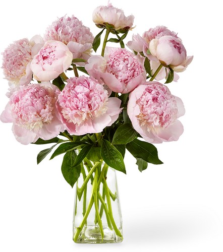 The FTD Pure Joy Spring Peonies